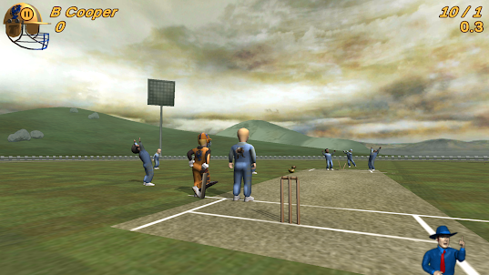 Cricket Evolution Pro