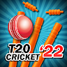 T20 Cricket 2021