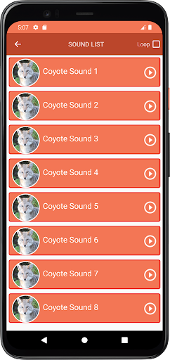 Coyote Sounds Screen 3