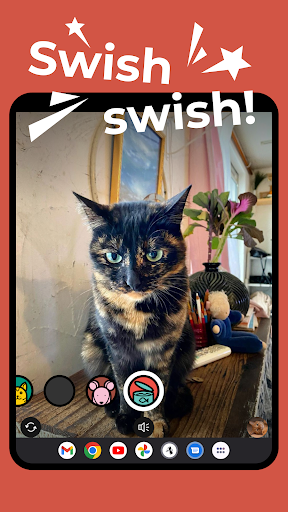 Minka Minka - Cat camera