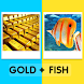Two Picture One Word Puzzle - Androidアプリ