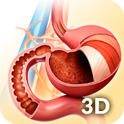 Top 29 Medical Apps Like My Stomach Anatomy - Best Alternatives