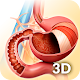 My Stomach Anatomy Descarga en Windows