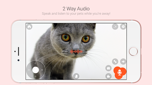Pawbo app cheap