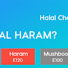 Is Emulsifier 472E Halal : Tuam Tshoj Diacetyl Tartaric Acid Esters Ntawm Mono Thiab Diglycerides Cov Chaw Tsim Tshuaj Thiab Hoobkas Khoom Noj Emulsifiers Yizeli Additive / Majlis ugama islam singapura food additive listing halal certification strategic unit last updated: