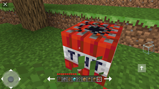 Mini Voxel Craft 3D 2021