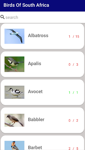 Birds of South Africa Screen 2