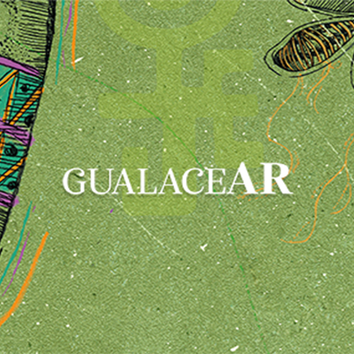 GualaceAR Download on Windows