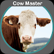 Cow Master - Herd Management