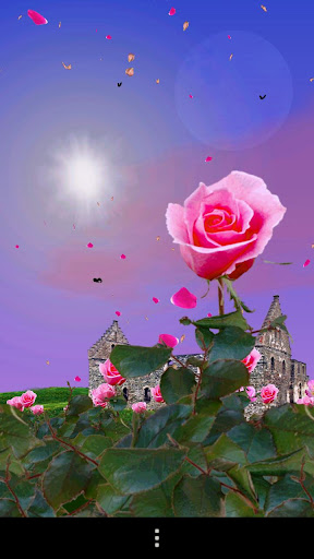 Android application Rose Garden Live Wallpaper screenshort
