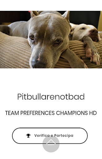 Teamappit Screen 3