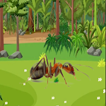 Ant Animal Sound Simulator 3d
