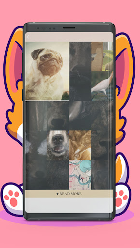 Animal Ringtones: Bird Sound screenshot 17