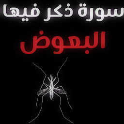 ذكر البعوض في سورة