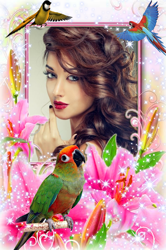 Bird Photo Frame Screen 3