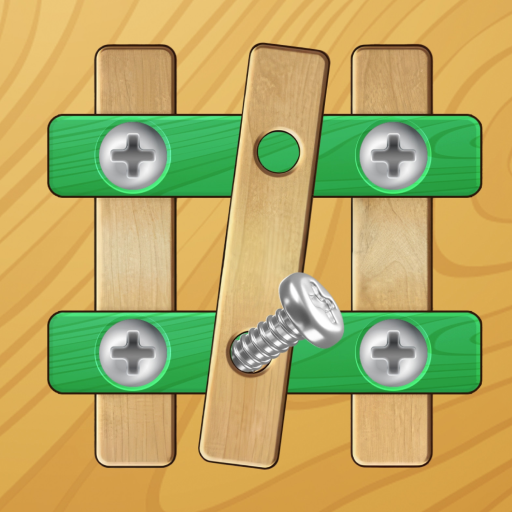 Nuts & Bolts Brain Puzzle