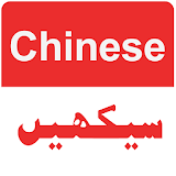 Learn Chinese Language in Urdu  - Chinese Translator icon