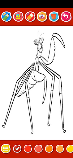 Cute Panda Coloring Game