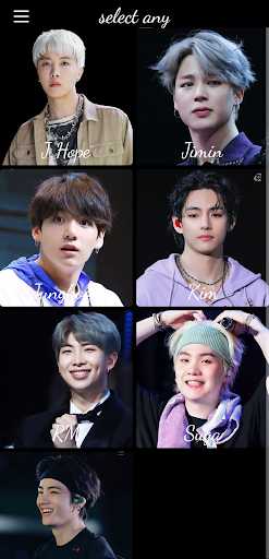 BTS Marriage: Marry BTS Member Screen 2