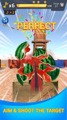 Archery Master - Screenshot 2