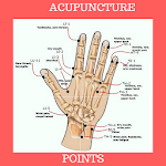 Cover Image of 下载 ACUPUNCTURE POINTS 5.0 APK