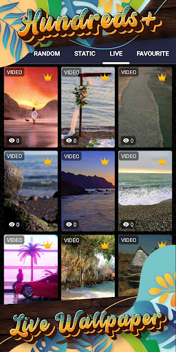 beach wallpaper Screen 3