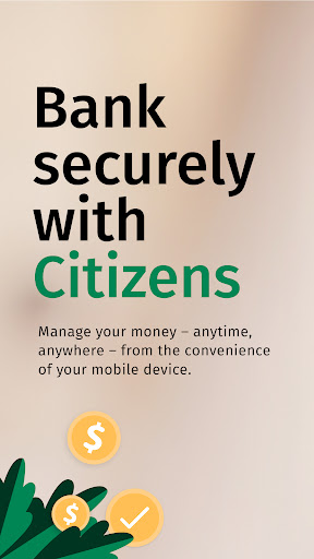 Screenshot of Citizens Access
