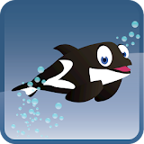 Splashy Dolphin icon