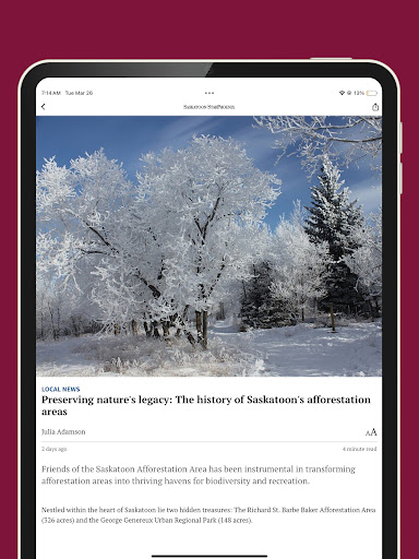 Star Phoenix screenshot 6