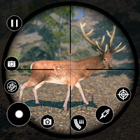 Animal Hunting: Jungle Hunter Sniper Shooting