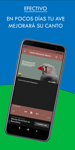 Diamante Mandarín Maestro Screen 2