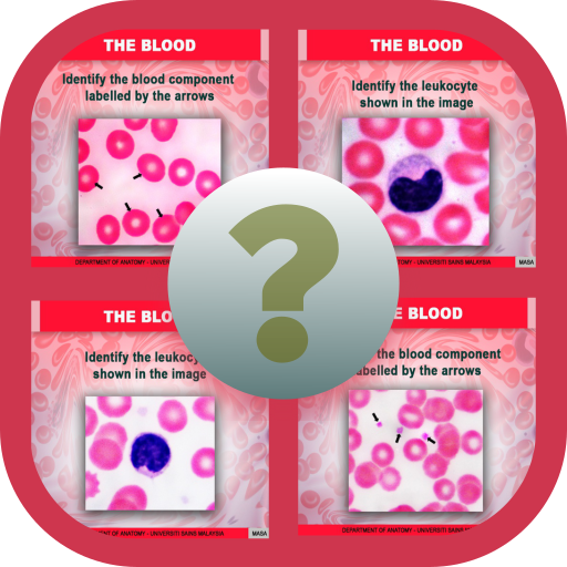 Anatomy Online Quiz The Blood