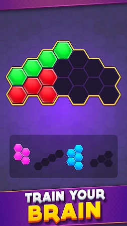 Game screenshot Flower Hexa Block Puzzle apk download