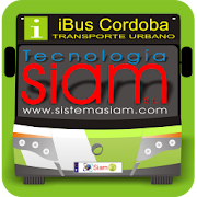 iBus Cordoba  Icon