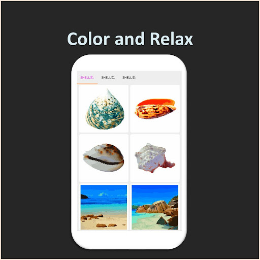 Color by Number - shell Screen 3