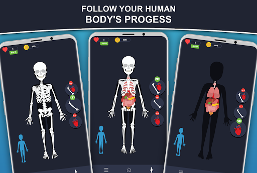 Anato Trivia -  Quiz Anatomy 2