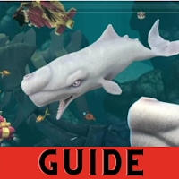 Guide for hungry shark summer 2020