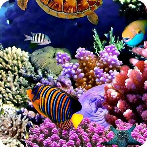 Aquarium Fish Wallpaper Live logo