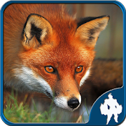 Top 30 Puzzle Apps Like Fox Jigsaw Puzzles - Best Alternatives