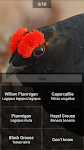 screenshot of BirdID - European bird guide a