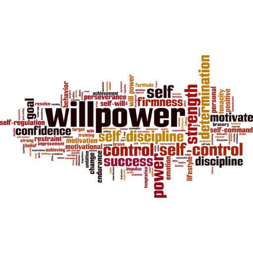 Will Power Spoken English logo