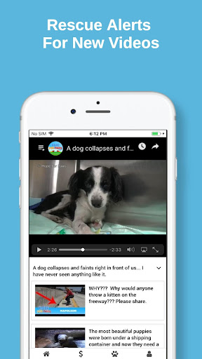 Hope For Paws Screen 2