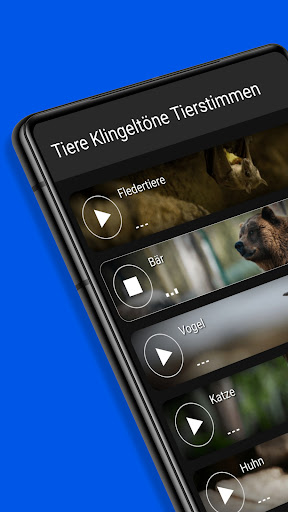 App-Vorschau