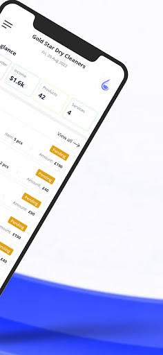 Gold Star Dry Cleaner Admin Screen 2