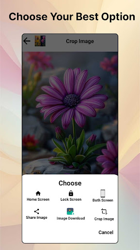 Flowers Wallpaper 4K-HD Photos