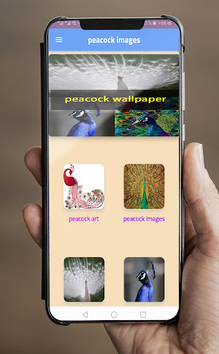 Android application peacock wallpaper screenshort