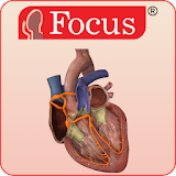 HEART - Digital Anatomy Atlas icon