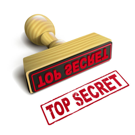 100 Site Monetization Secrets logo