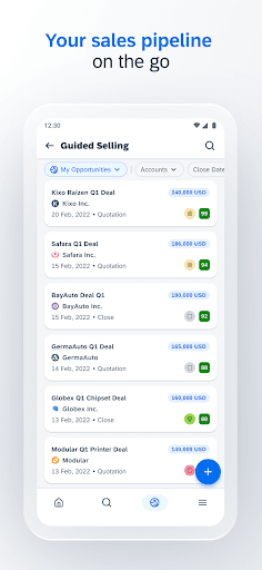 SAP Sales Cloud Screen 2