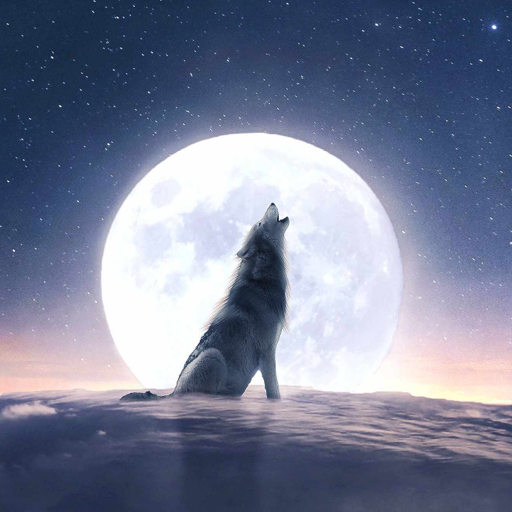 Moonovel-Werewolf Romance 1.3.0 Icon